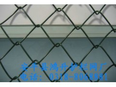 供应鸿升勾花网，体育场围网，动物场地围网图2
