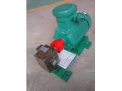 抗杂质耐磨渣油泵，重油泵，煤焦油泵KZYB1-7.5/4.0图1