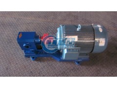 增压燃油齿轮泵，点火泵，喷燃泵，渣油泵ZYB1-12/4.0图1