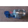 增压燃油齿轮泵，点火泵，喷燃泵，渣油泵ZYB1-12/4.0