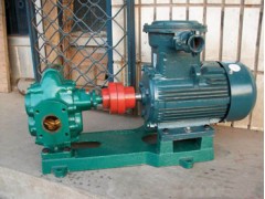 TCB铜齿轮泵，防爆齿轮泵，TCB18.3-960/0.36图1