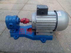 小流量齿轮泵，220V齿轮泵，XCB0.36-0.8/0.3图1