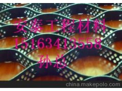 土工格室图1