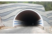 WSD-06隧道专用防火涂料