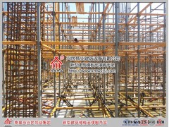 轮扣脚手架图1