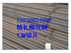 现浇梁用精轧螺纹钢137-300-21597图1