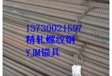 现浇梁用精轧螺纹钢137-300-21597