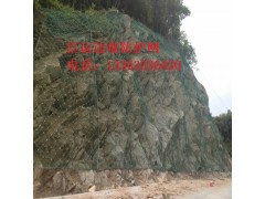 河北臣运专业生产制造边坡防护网 边坡防护解决方案全程提供商图3