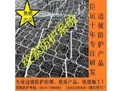 安平绞索网批发 河北绞索网批发 绞索网供应现货图1