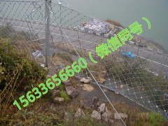 环形网厂家 环形网价格 环形网施工 环形网规格图3