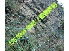 护坡钢丝绳网主动防护 防落石主动边坡防护网规格图2