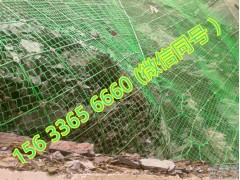 sns柔性主动防护网国标 sns主动防护网维修图3