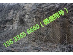 防落石钛克网生产厂家 正规土工格栅厂家批发图2