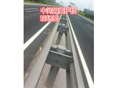 横隔梁图2