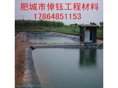 厂家直销鱼塘、藕池防渗膜垃圾填埋场土工膜规格全 价格低图2