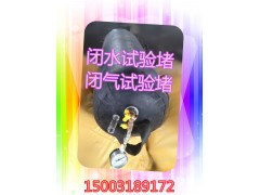 试验堵 闭水试验堵 闭气试验堵 DN200-DN700图2
