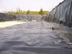 厂家供应hdpe防渗土工膜 国家工程专用复合膜 养殖防渗膜图2
