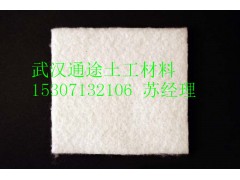 公路专用土工布找通途图2