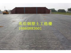 怀化市 钢塑土工格栅图2