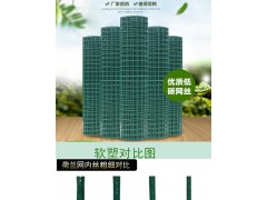 荷兰网图2