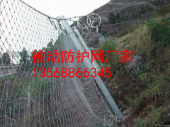 四川主动防护网图2