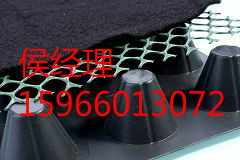 网状交织排水板厂家直销图2