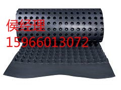 塑料（或橡胶）排水防根刺凸片图1