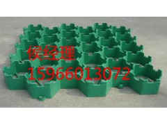 嵌草砖图1