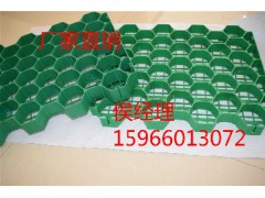 塑料嵌草砖图1
