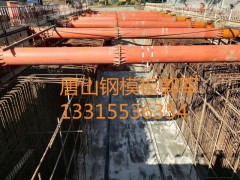 供应钢支撑、脚手架图2