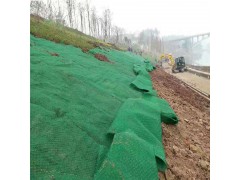 厂家定制加筋三维植被网生 绿化种草边坡防护用三维植被网图2