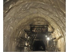 厂家直销1.2mm隧道防水板高效防水卷材 防渗防水质量有保证图2