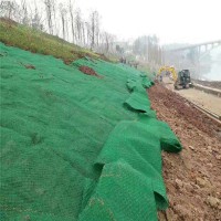 厂家直销三维土工网垫 边坡防护绿花种草