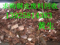 东莞市东城废旧物资回收有限公司图1