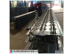 杭州市场供应TD3-90型号钢筋桁架楼承板厂家图1