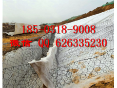 专业生产铅丝笼厂家A河北铅丝笼实体生产厂家图1