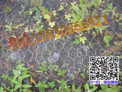 植草护岸镀高尔凡加筋麦克垫@厂家现货供应图2