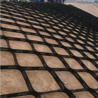 厂家信息护坡植草土工格室每平米价格 压纹打孔土工网格