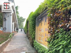 新型绿植草坪围挡登场临街工地换新装图1