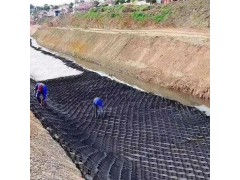 现货出售 河道改流固土护坡蜂巢土工格室 填土种植黑色植草格图1