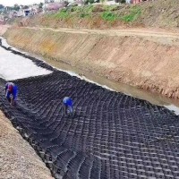 现货出售 河道改流固土护坡蜂巢土工格室 填土种植黑色植草格