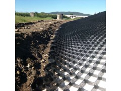 现货出售 河道改流固土护坡蜂巢土工格室 填土种植黑色植草格图3