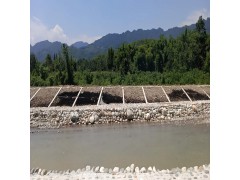 堤防河道边坡防护HDPE土工格室 蜂巢纹面打排水孔土工格室图1