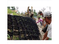贵州打孔边坡防护Pe黑色土工格室 15公分焊接打花纹土工网格图2