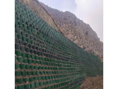 贵州打孔边坡防护Pe黑色土工格室 15公分焊接打花纹土工网格图3