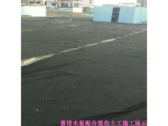 楼顶用滤水型好凹凸型蓄水板|H20高屋顶空中花园蓄排水板图2