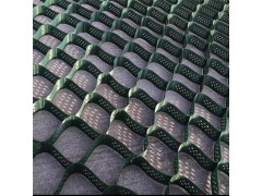 黑色hdpe固堤植草蜂巢土工格室|植草护坡绿化土工格室图3