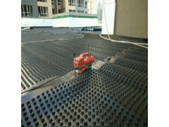 建筑地基塑料卷材滤水板 H20高屋顶绿化排水板供货商图2