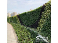 因改变而实用的三田实业垂直绿植围挡图2
