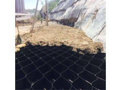 边坡绿化专用护坡用蜂巢格室|河道边坡防护蜂巢土工格栅图1